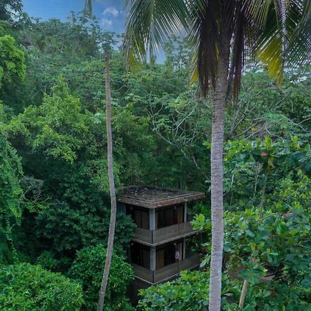 Taino Beach Lofts El Valle Exteriör bild