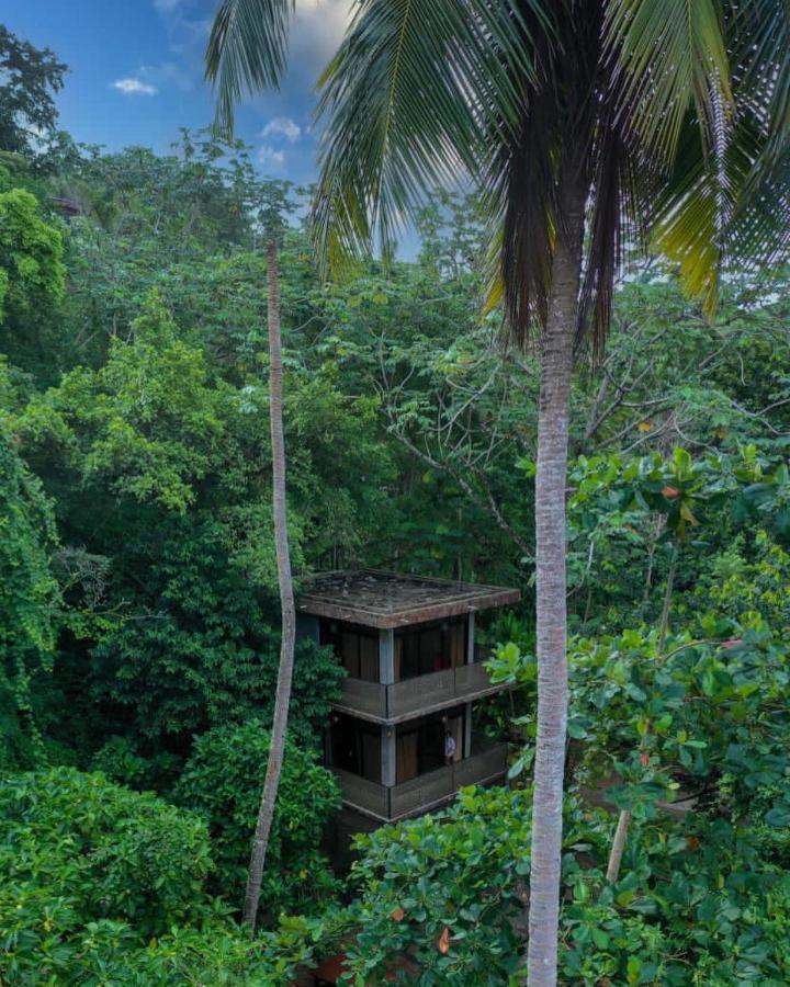 Taino Beach Lofts El Valle Exteriör bild